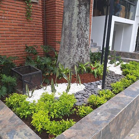 Hotel Suramericana Medellín Dış mekan fotoğraf